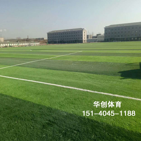 天水足球场人造草坪